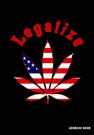 Address Book with Legalize Marijuana in the USA cover