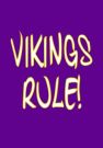 Minnesota Vikings Address Book