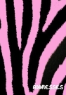 Pink Zebra Stripe Address Book