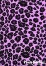 Purple Leopard Print Address Book