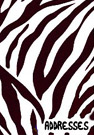 Zebra Stripe Address Book